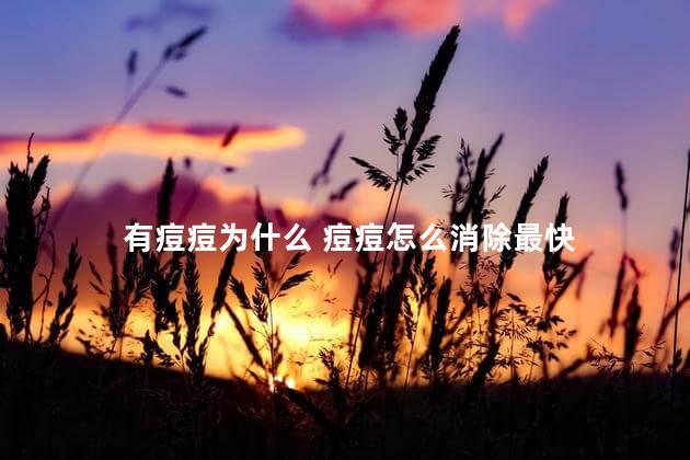 有痘痘为什么 痘痘怎么消除最快